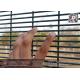 358 High Security Welded Mesh Panel | China Anti-cut Prison Fencing Factory