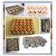 Recycling Waste Paper Egg Tray Machine / Reciprocating Egg Paper Tray Machine