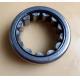 DB50185 Cylindrical Roller Bearing