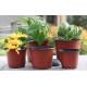 Nursery Plastic Horticultural Plant Pots Thermal Formed For Flower Seedling