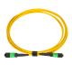 12 Fibers MPO APC Female to APC Female OS2 Trunk Cable Single Mode
