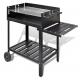 73.5*22.5cm x 2 Cooking Area Outdoor Trolley Flat Top Charcoal Grill with 2