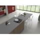 Customized Kitchen Quartz Stone Top Anti Faded , Engineered Quartz Worktops