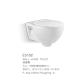 3L 6L Wall Mounted Rimless Toilet Seat P Trap White Color Ceramic