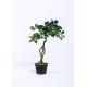 Minimal Artificial Bonsai Tree No Falling Leaves Command Attention Pest Free
