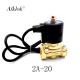 2 Way Underwater Solenoid Valve Direct Acting 1 Mpa Brass 3/4 Inch 2A Series