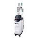 Portable Cryolipolysis Fat Freezing Slimming Machine With Vacuum For Salon Home Use