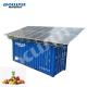 10x2.5x2.5m 20FT 40ft Container Solar Power Cold Room Portable Solution for Green Power