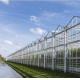 20GP 40GP 40HC Modern Agriculture Sunlight Greenhouse For Vegetables Planting
