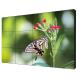 Fast Response LCD Large Video Wall Displays 49 Inch 1.8mm Super Slim Screen TFT Type