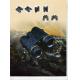 Hot aspheric lens binoculars