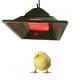4 Model Chicken Brooder Gas Heater LPG NG Biogas Gas Brooder In Poultry