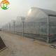 Multi Span Polytene Film Agricultural Greenhouse Gutter Height 3-6m for Shading System