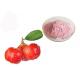 Vitamin C 17% 25% Acerola Cherry Natural Fruit Extract Powder