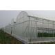 100 Micron PE Film Greenhouse Single Layer Plastic Tunnel Greenhouse