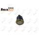 Ball Joint JAC T6  OEM 2904540P3010