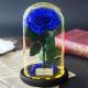 Wholesale Price beauty and the beast roses preserved roses in glass dome Fresh flower rose