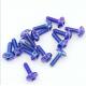 Blue Purple Gradient Tc4 Motorcycle Titanium Alloy Screws ANSI ASME Standard