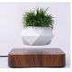 PA-0734 magnetic levitation air bonsai plant tree flowerpot for decor