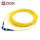 24 Fibers MTP Patch Cord Female To Female Singlemode 3.0mm LSZH