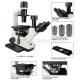 400X Laboratory Inverted Optical Microscope A14.0801 With Trinocular Head