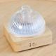 Solid Wood Glass Aroma Diffuser▕ DN-839