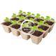 10 Pack Biodegradable Paper Deep Seed Starting Trays For Plant Starters