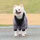 Cozy Down Puffer Jacket For Dogs Reflective Strip Waterproof