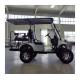 4 Person Adults On The Road 2024 2 2 Seats 48V Electric Golf Cart with Aluminum Wheels