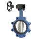 Hydraulic Butterfly Valves Cast Iron Extension Stem Flange PVC Pneumatic 1 Inch Sanitary