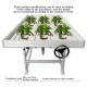 Silver Height Adjustable Fixed Greenhouse Rolling Tables with Clip on Bench Side Profile