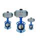 Customized Tri Clamp Butterfly Valves and Fitting for Medium Temperature Applications