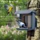 Smart AI Wireless Wildlife Bird Feeder Camera Multi Purpose 1080HD Version