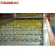 Multi Level Weight Sorter Automatic Fruit Fruit Sorting Machine High Speed