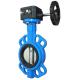 Custom Lug Ductile Iron Butterfly Valve Double Flange MSS SP67