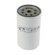 Truck Diesel Engines Spare Parts 02800359 P551257 132401230 71457012 4285642 7308715 Lube Oil Filter