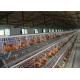 Q235 Hot Dipped Galvanized H Type Layer Chicken Cage For Farm