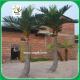 UVG PTR02 indoor and outside artificial silk palm trees for shopping mall landscaping
