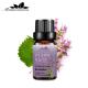 20ml Herbal Essential Oils JIANFENG Pure Rosemary Essential Oil Skin For Candle