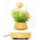 Magnetic Levitation Suspension flower and air bonsai pot PDA factory sale