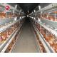 Poultry Battery Layer Chicken Cage Hopper Feeding