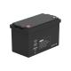 Lightweight 12V LiFePO4 Lithium Battery Deep Cycle 100A 1536Wh