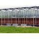 Steel Vegetables Hydroponic Multi Span Glass Greenhouse