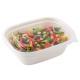 Oilproof Meal  Bento 27g 48oz Biodegradable Salad Boxes
