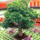 Fiber Glass Trunk Artificial Landscape Trees Anti Fading For Patio