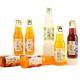 1t Per Day Small Apple Juice Processing Line With Pet Bottle Packing