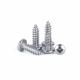 Stainless Steel Self Tapping Screws with Special Spring Washer for Enhanced Fastening