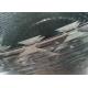 Hot Dipped Galvanized High Security Concertina Razor Barbed Wire Cbt-65 For Wire Fencing