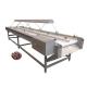 Plum Nuts Palm Dates Inspection Conveyor Made of 304 Stainless Steel for Your Benefit