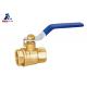 IRON 600 Wog Ball Valve Ss Stainless Steel Handle ISO 228